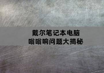 戴尔笔记本电脑嗡嗡响问题大揭秘 戴尔笔记本电脑嗡嗡响问题大揭秘-图片2